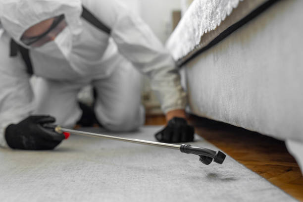 Professional Termite Control technician working in Lyon County County, NV